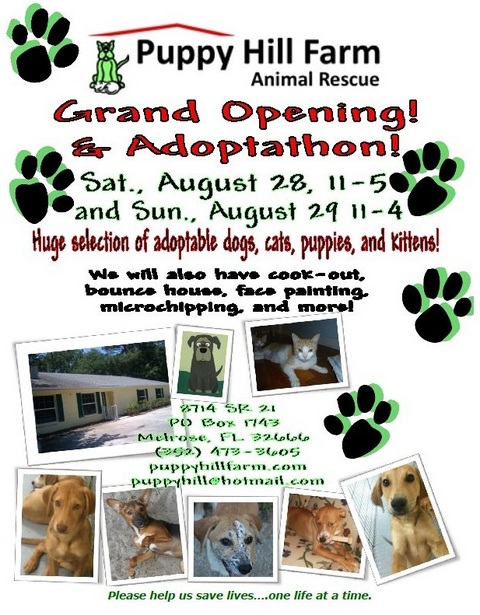 Join Us for Our Open House